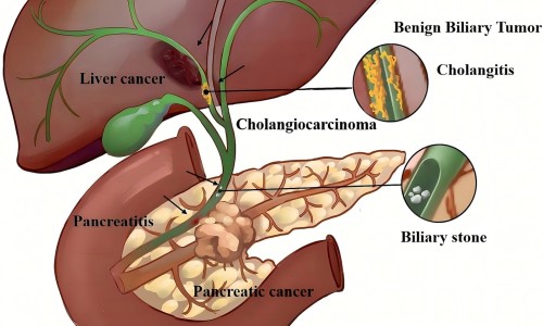 愈肤生物膜-医用愈肤生物膜膏剂专区_医用愈肤生物膜有副作用么专区_药用愈膜网